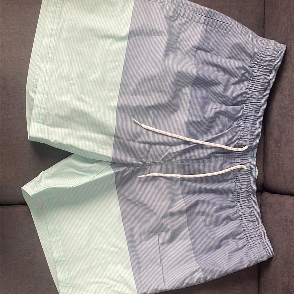 Men's Blue and Green Swim Shorts